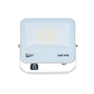 Flood Light 50W