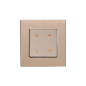 ΔΙΑΚΟΠΤΗΣ ΡΟΛΛΩΝ ΧΩΝΕΥΤΟΣ ΧΡΥΣΟΣ