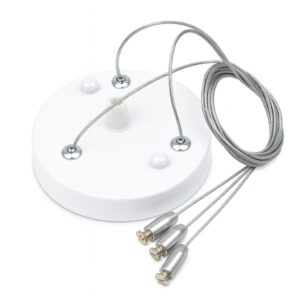 ΡΟΖΕΤΑ ΟΡΟΦΗΣ ΜΕ ΝΤΙΖΑ ΛΕΥΚΗ